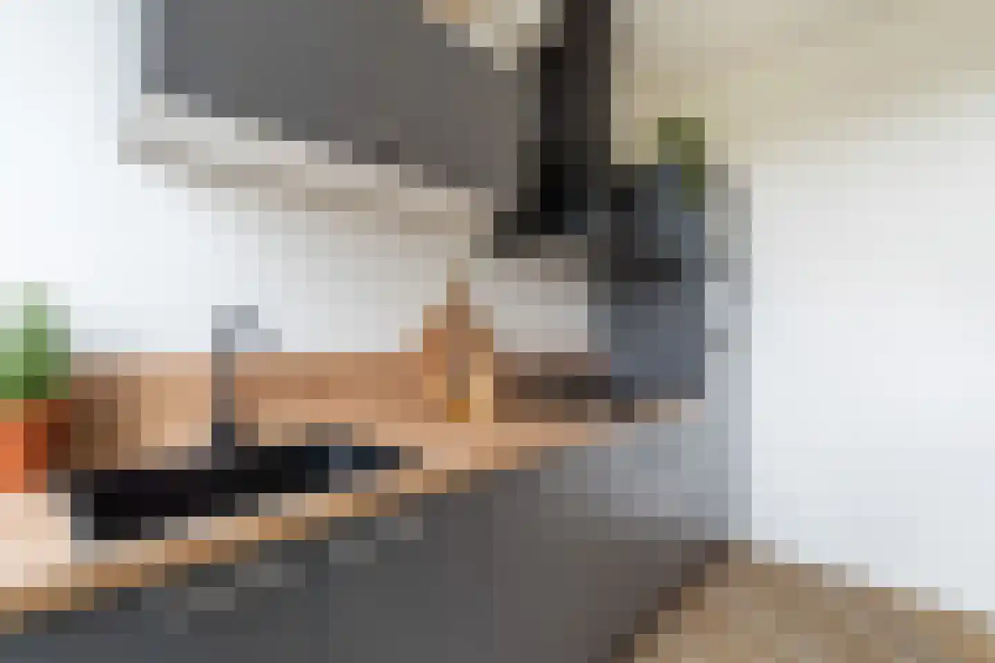 Noordeindseweg 288 Berkel en Rodenrijs thumbnail 23