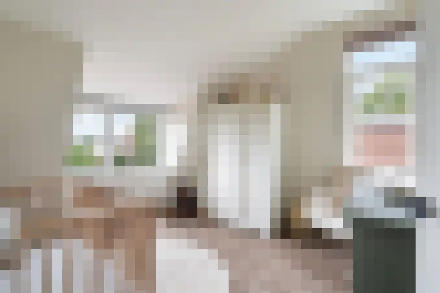 Noordeindseweg 288 Berkel en Rodenrijs thumbnail 29
