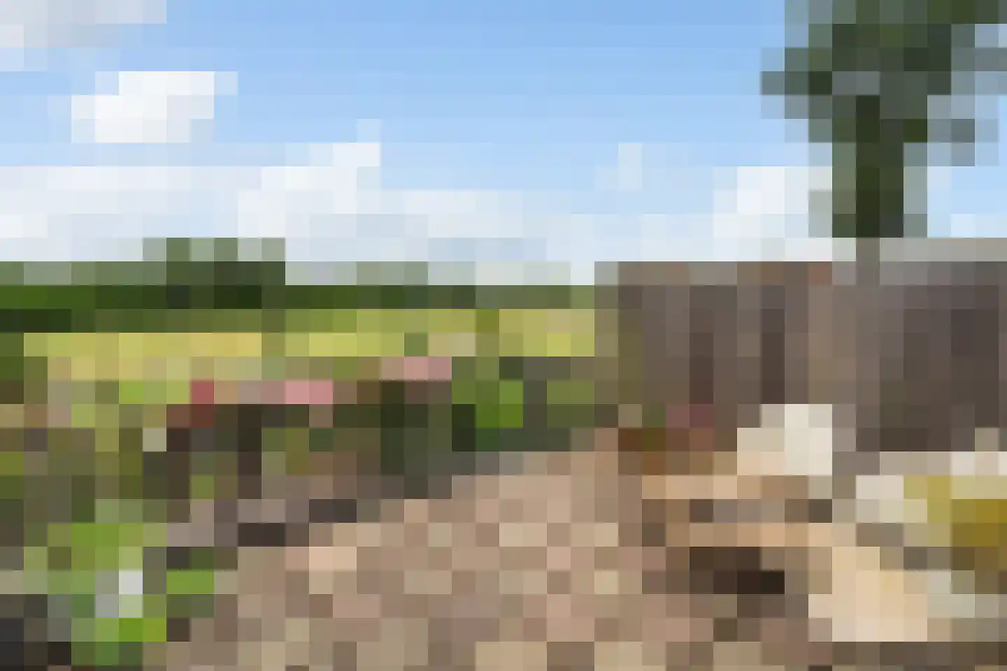 Noordeindseweg 288 Berkel en Rodenrijs thumbnail 37