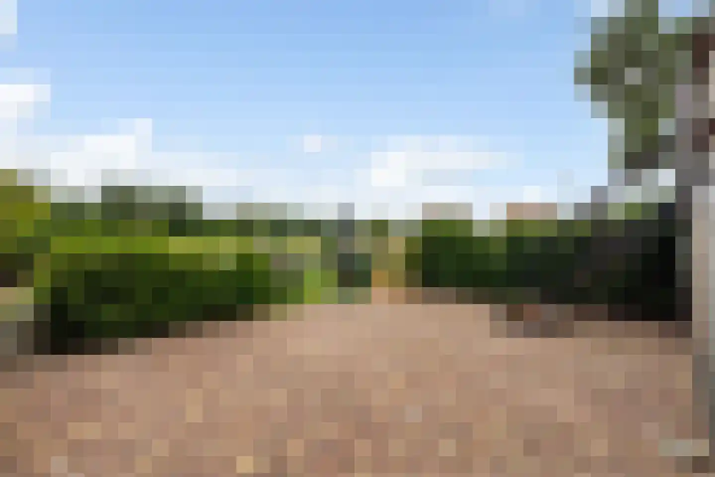Noordeindseweg 288 Berkel en Rodenrijs thumbnail 40
