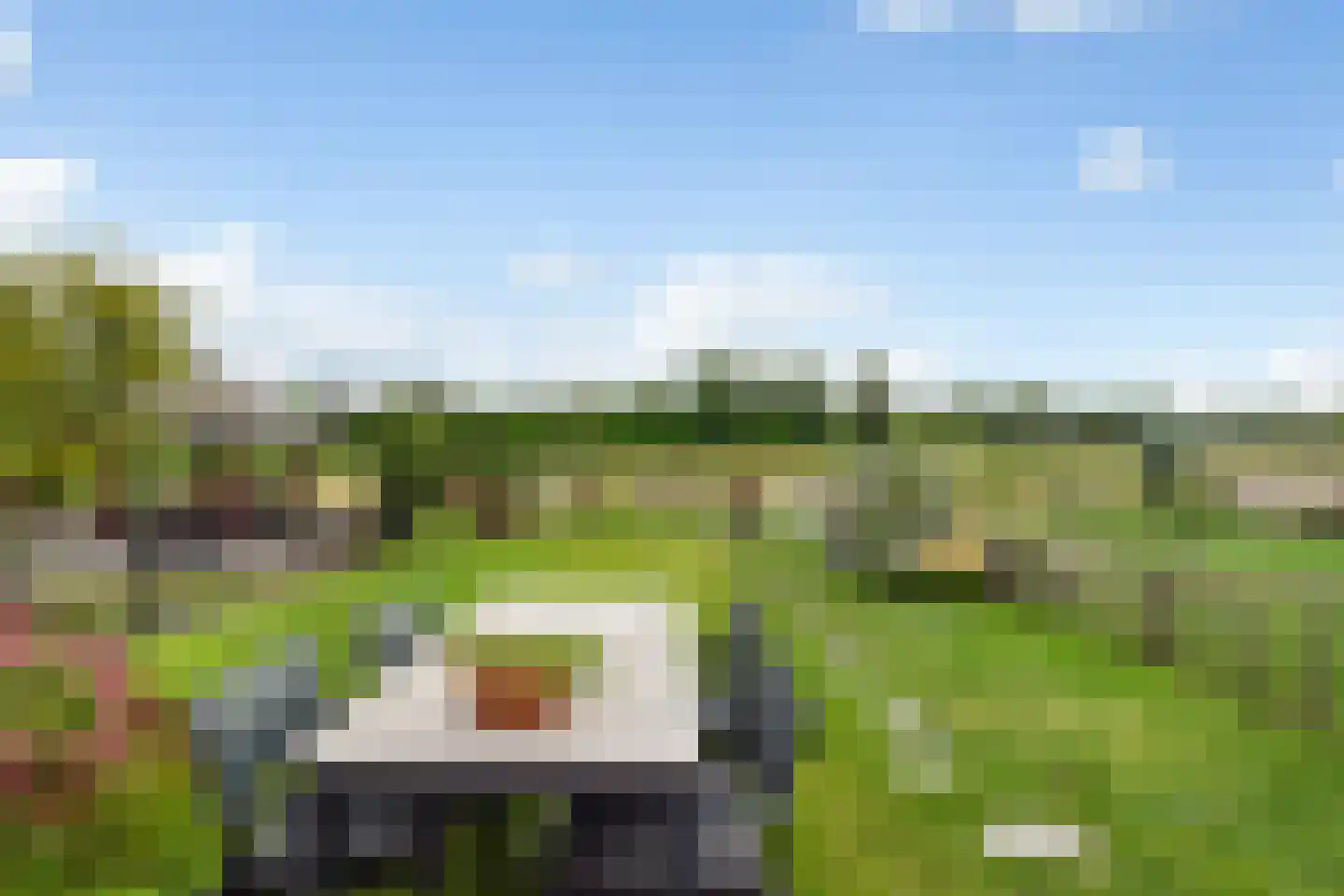 Noordeindseweg 288 Berkel en Rodenrijs thumbnail 41