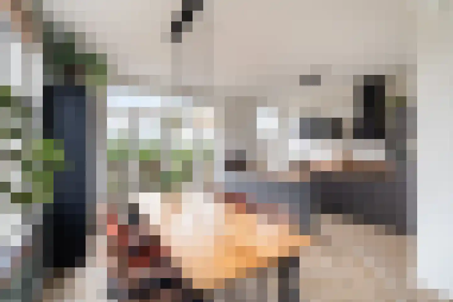 Noordeindseweg 288 Berkel en Rodenrijs thumbnail 5