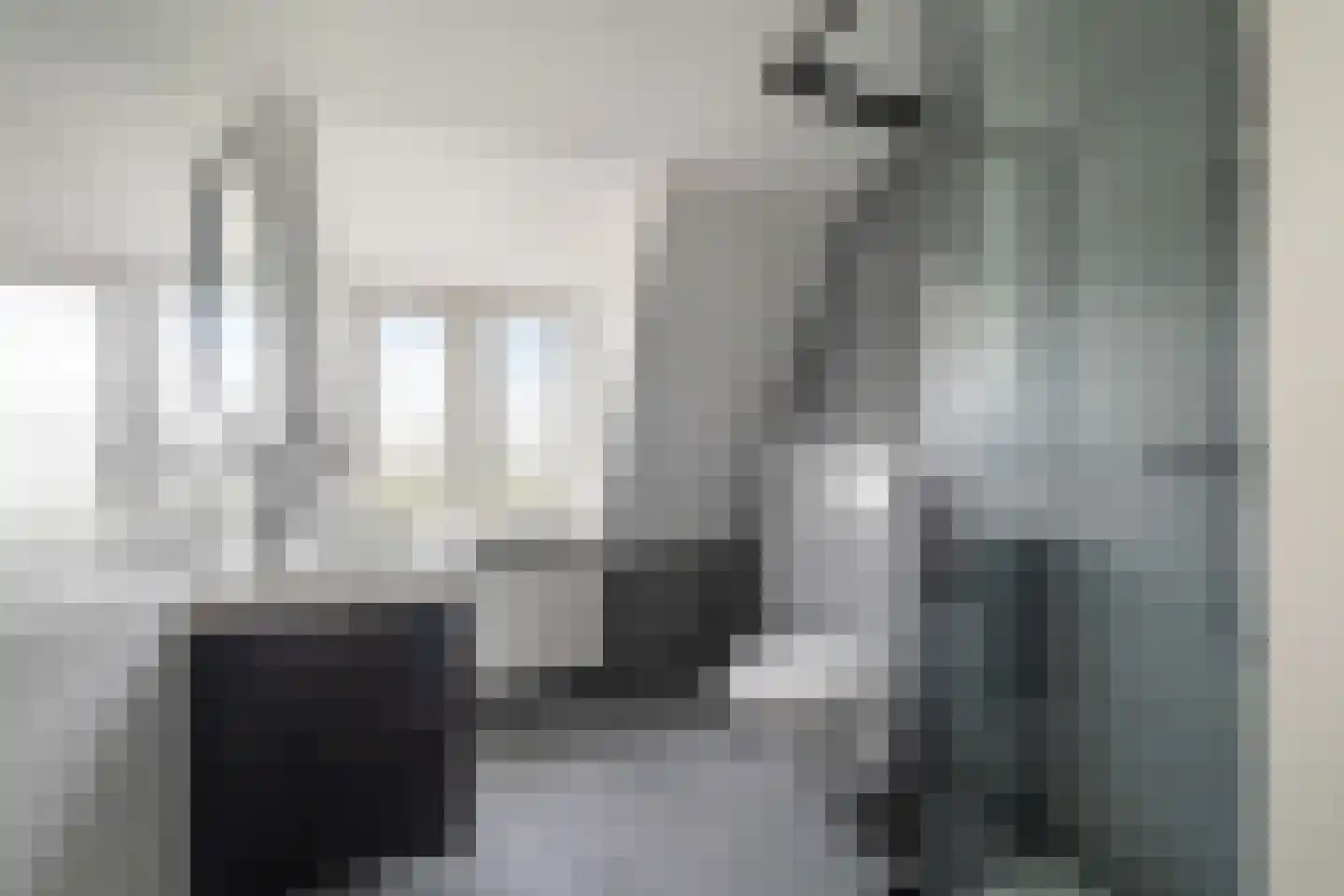Noordeindseweg 288 Berkel en Rodenrijs thumbnail 7