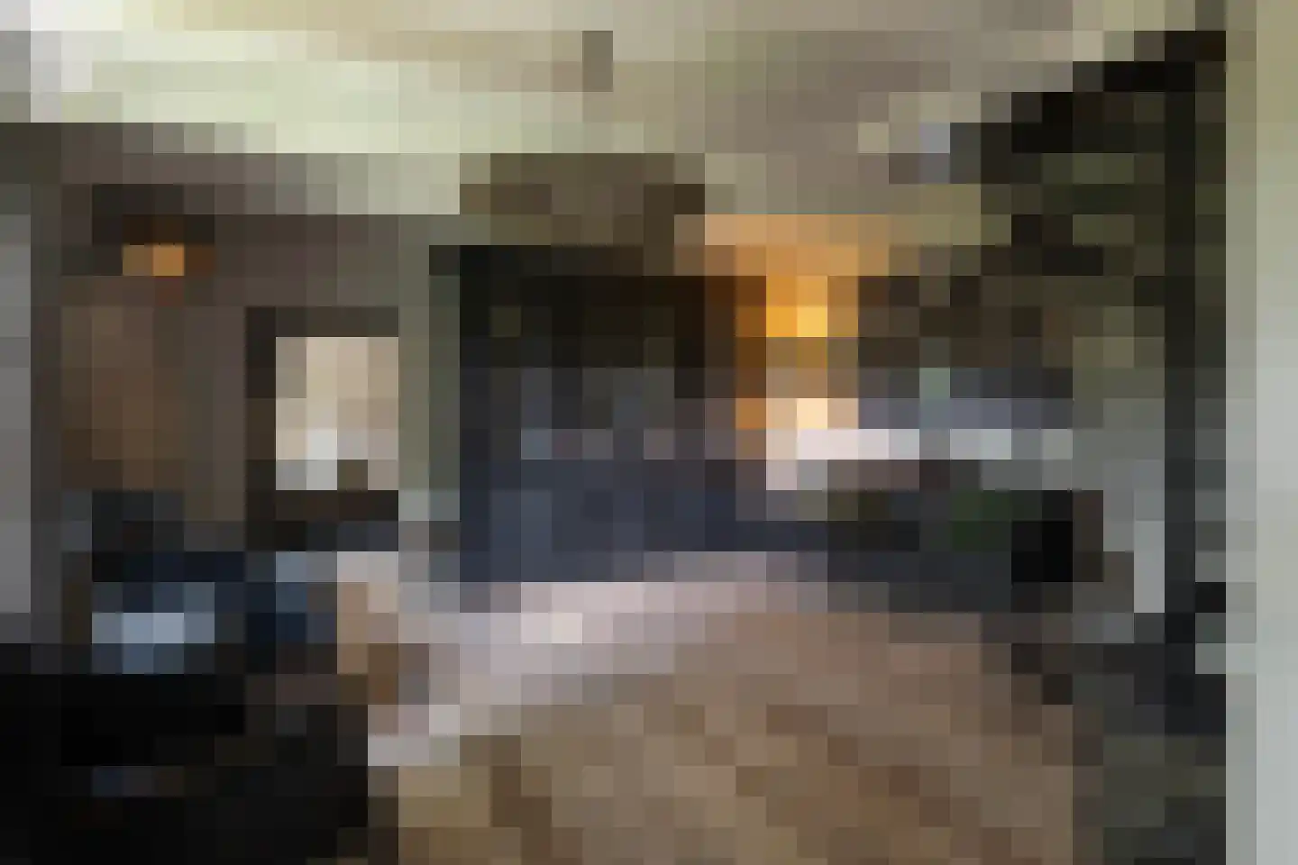 Noordeindseweg 314 Berkel en Rodenrijs thumbnail 12