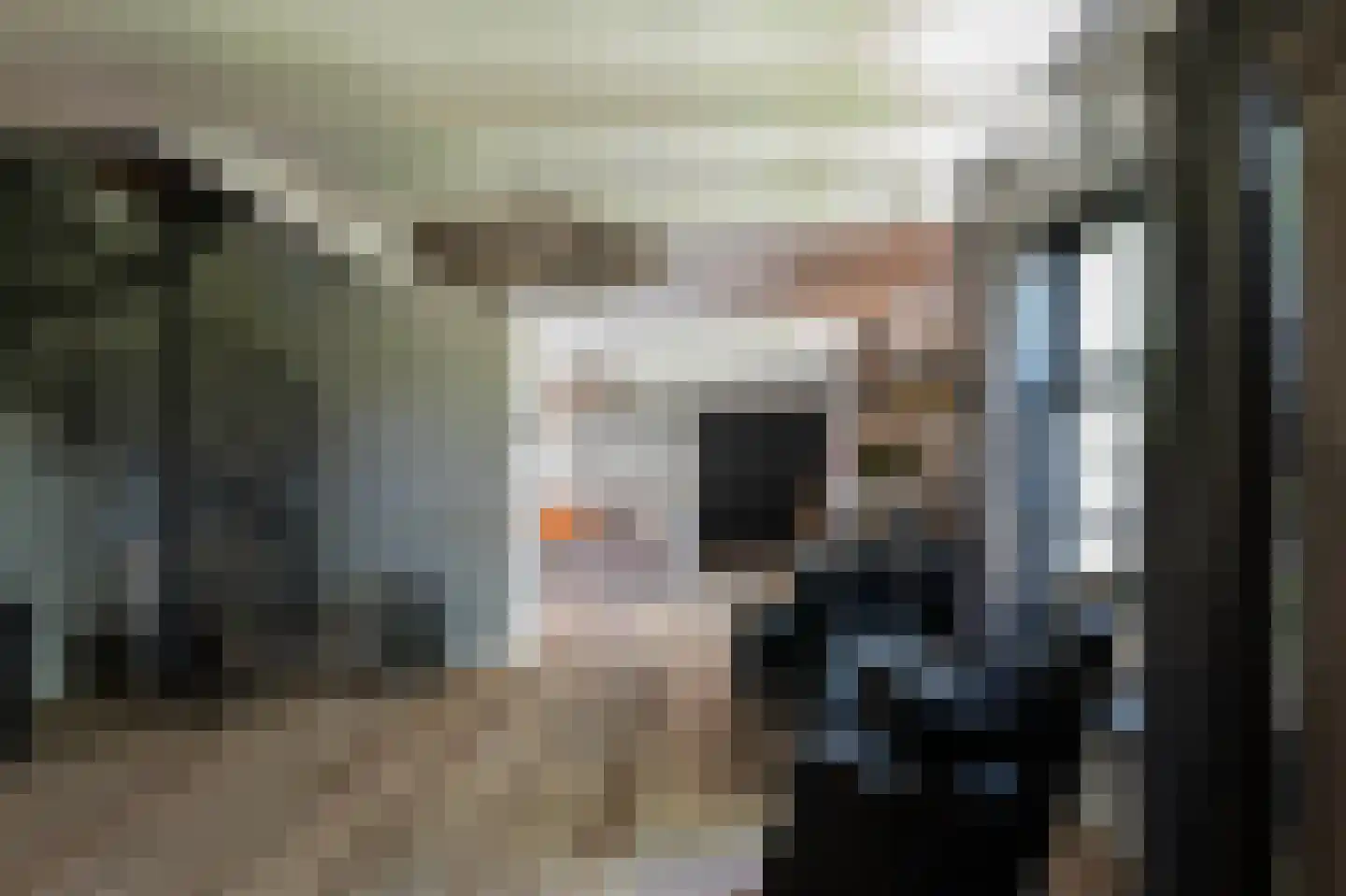 Noordeindseweg 314 Berkel en Rodenrijs thumbnail 13