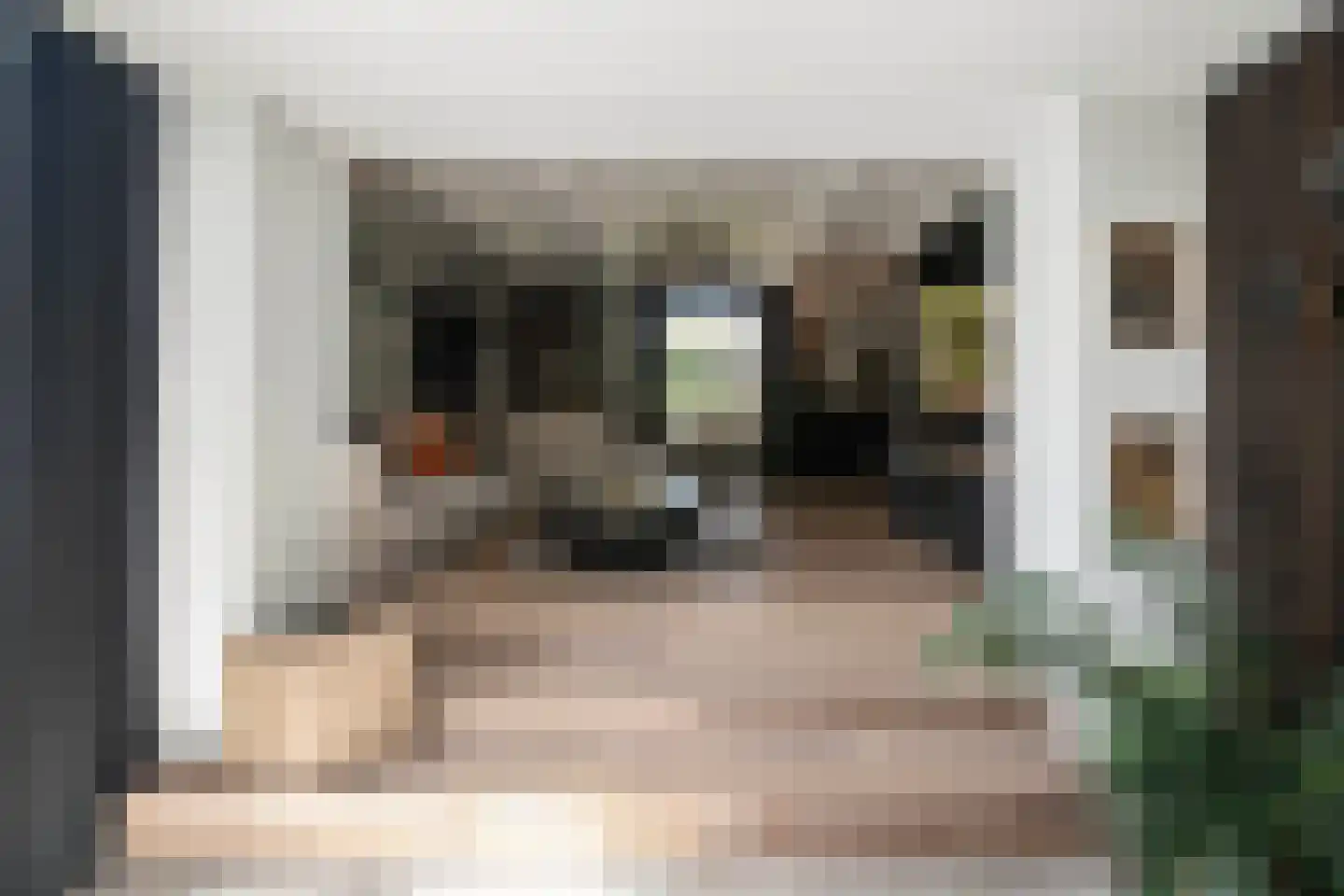 Noordeindseweg 314 Berkel en Rodenrijs thumbnail 19