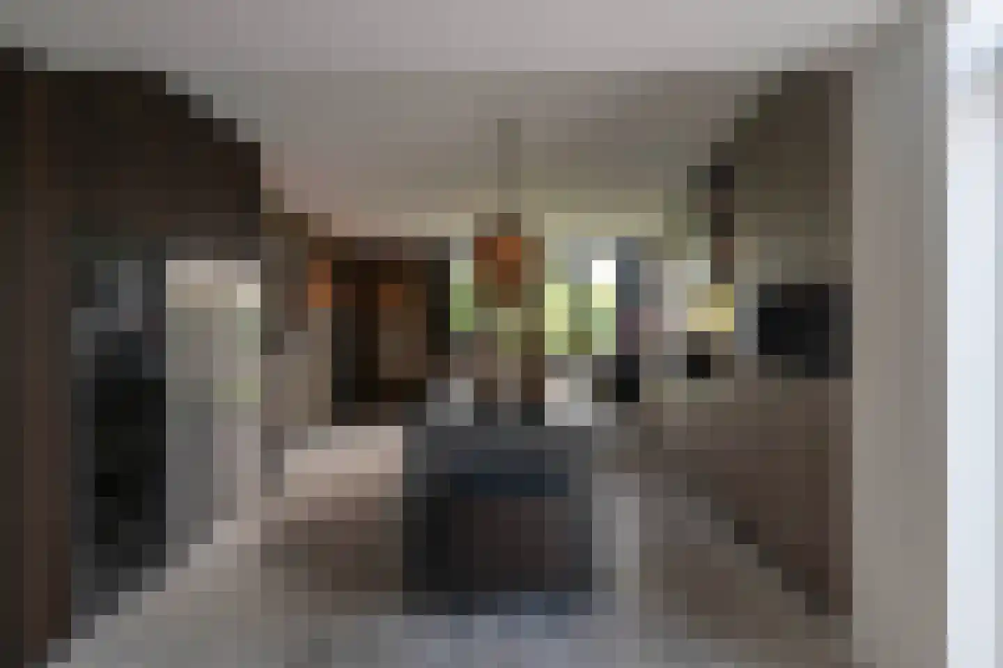 Noordeindseweg 314 Berkel en Rodenrijs thumbnail 21