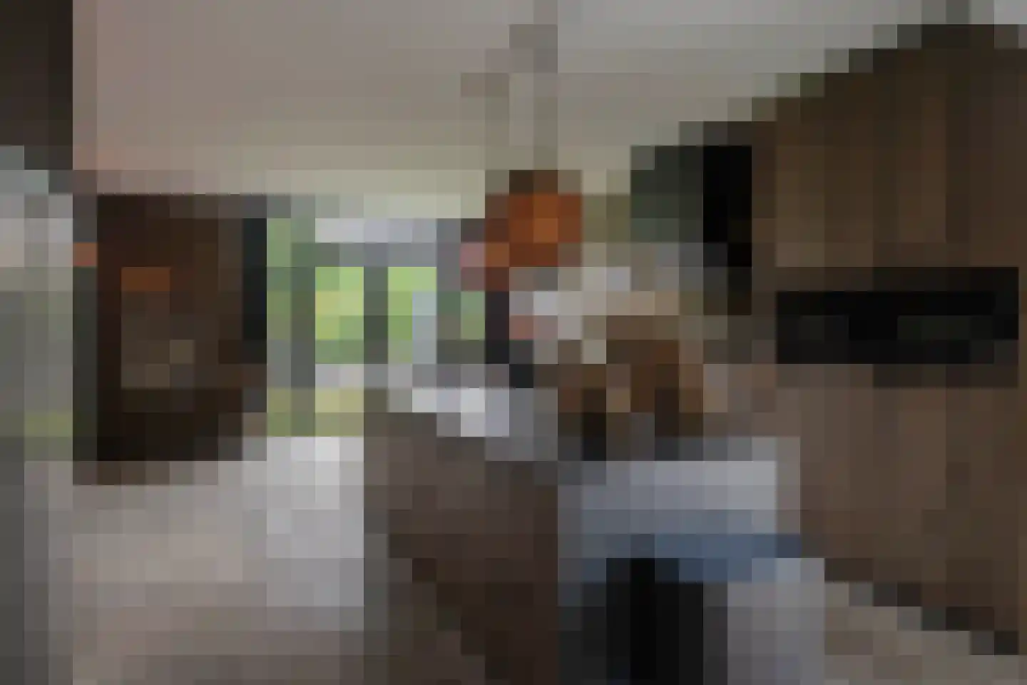 Noordeindseweg 314 Berkel en Rodenrijs thumbnail 22