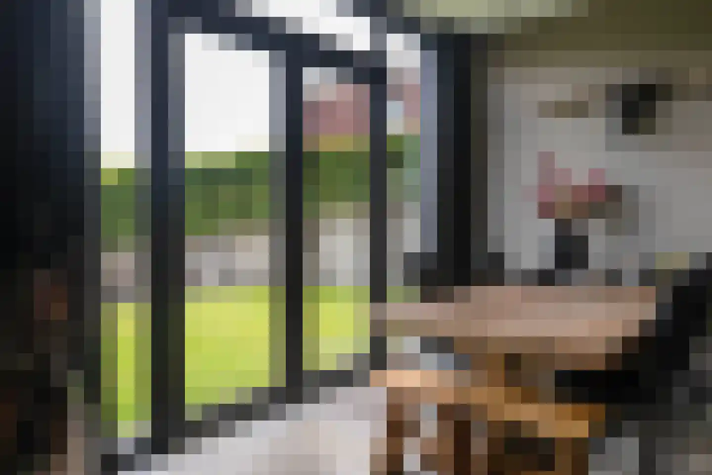 Noordeindseweg 314 Berkel en Rodenrijs thumbnail 28