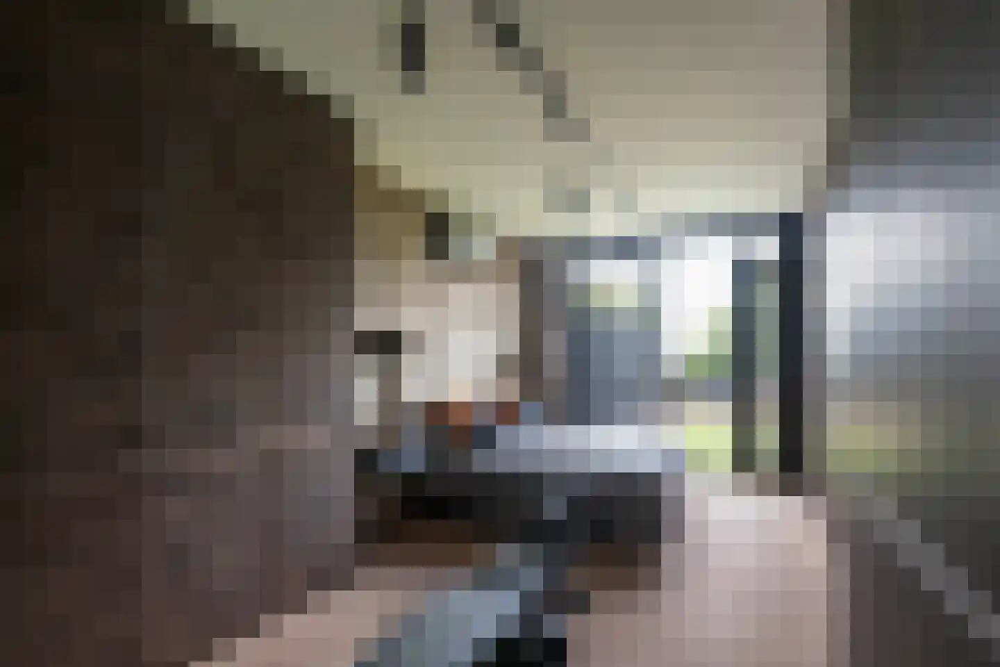 Noordeindseweg 314 Berkel en Rodenrijs thumbnail 30