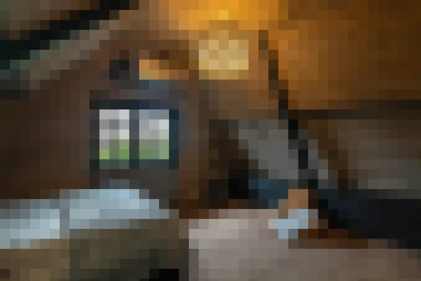 Noordeindseweg 314 Berkel en Rodenrijs thumbnail 38