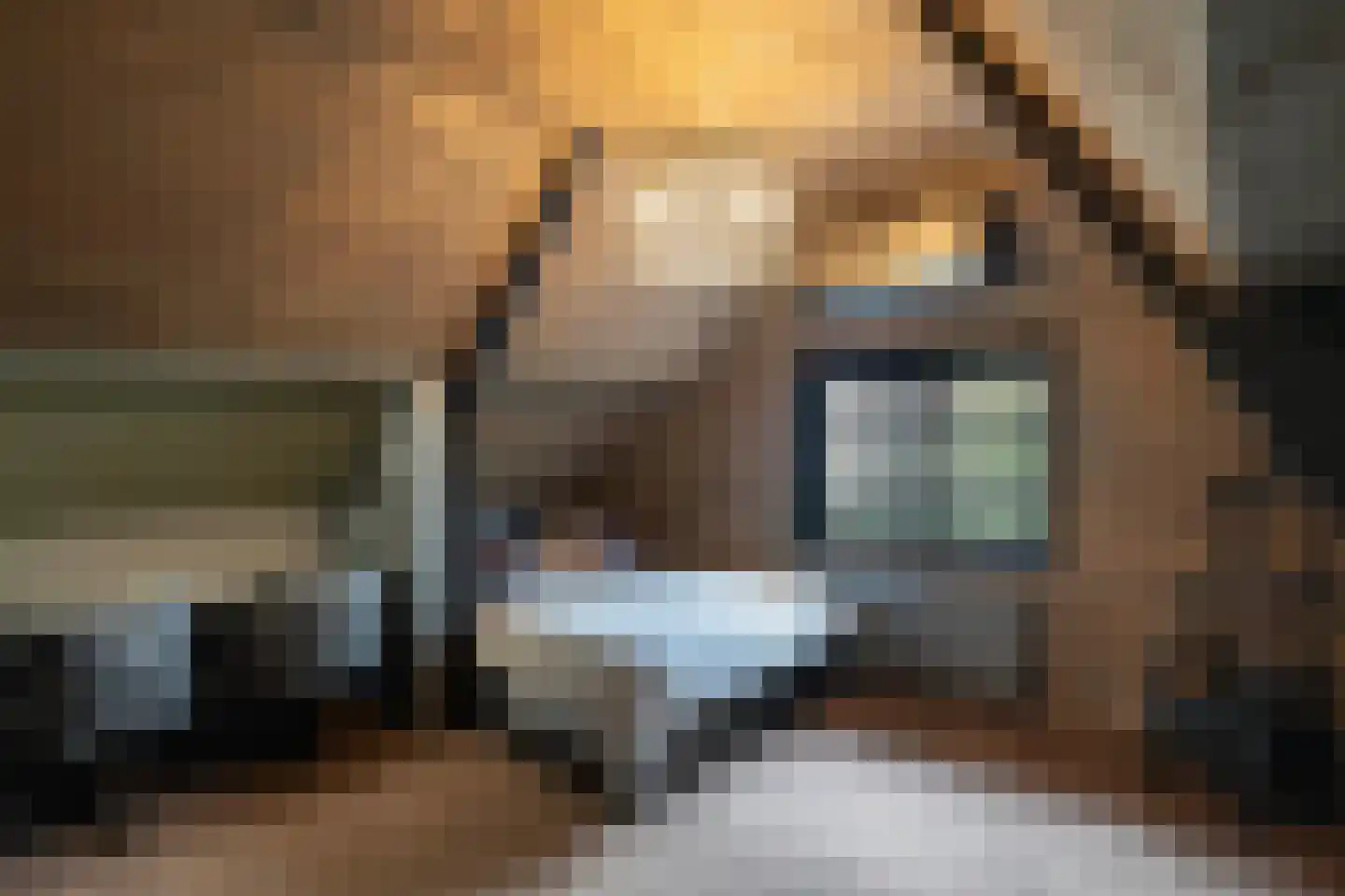 Noordeindseweg 314 Berkel en Rodenrijs thumbnail 39