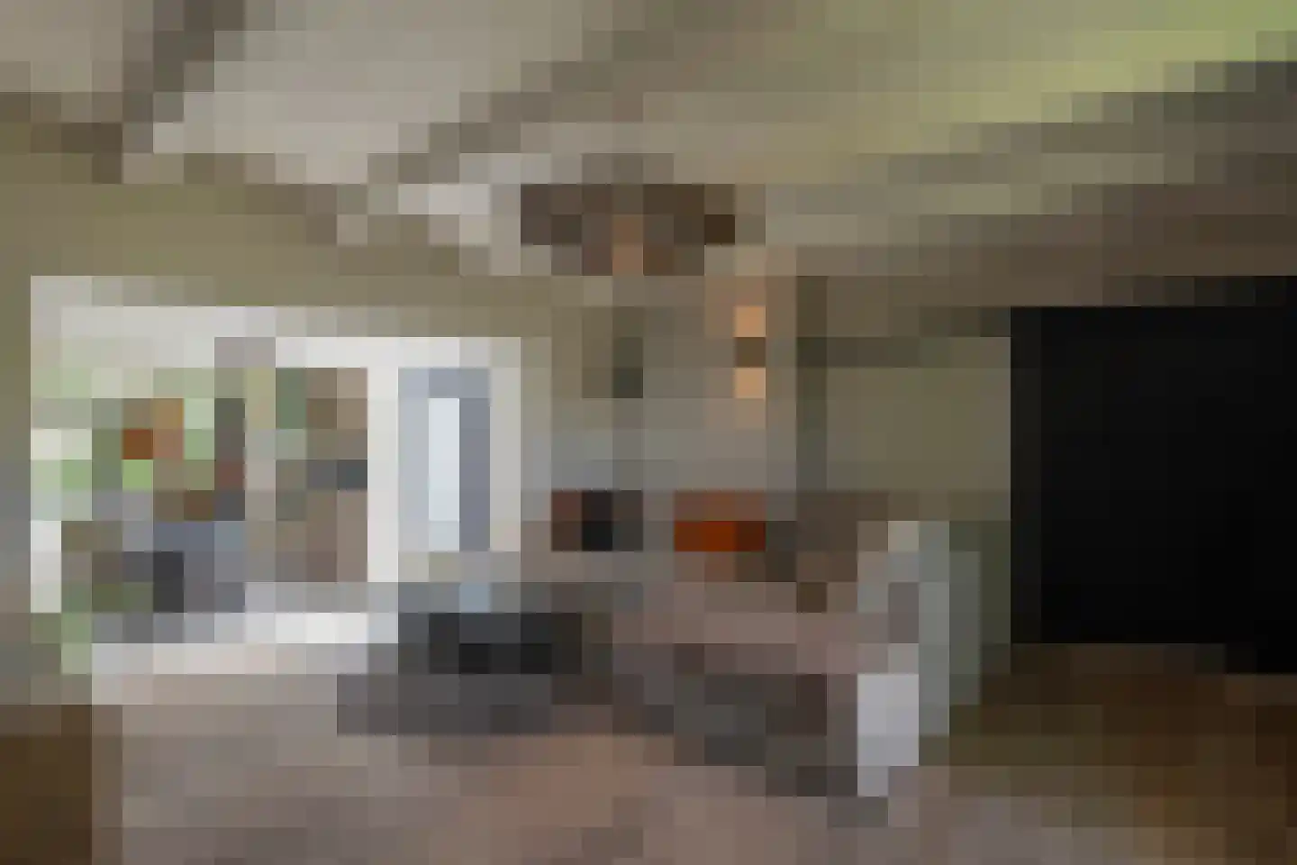 Noordeindseweg 314 Berkel en Rodenrijs thumbnail 4