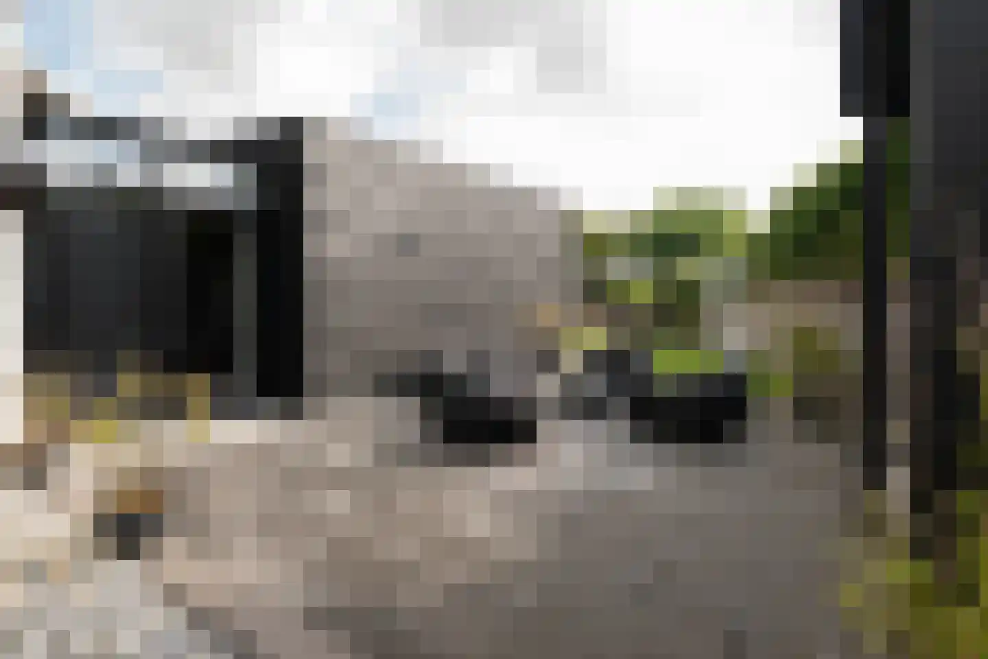Noordeindseweg 314 Berkel en Rodenrijs thumbnail 49