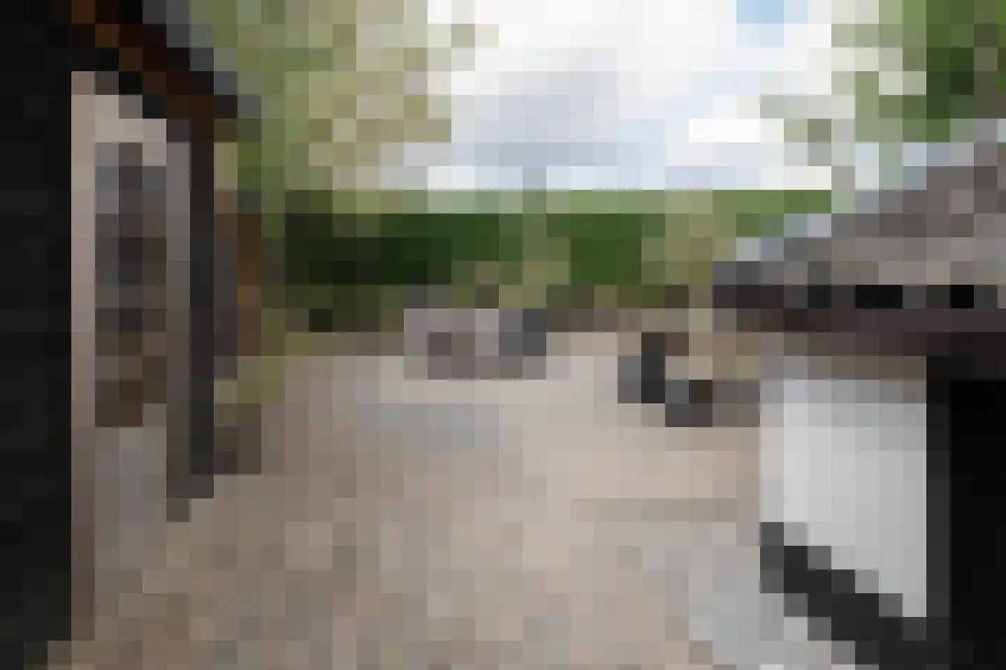 Noordeindseweg 314 Berkel en Rodenrijs thumbnail 52