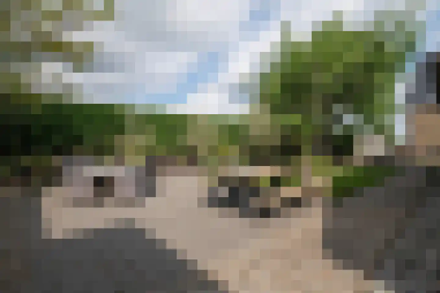 Noordeindseweg 314 Berkel en Rodenrijs thumbnail 53