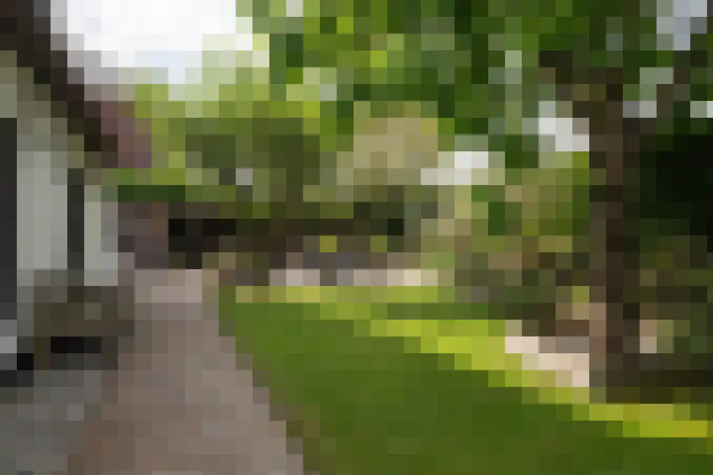 Noordeindseweg 314 Berkel en Rodenrijs thumbnail 57