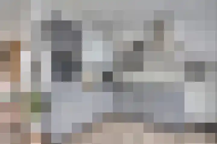 Noordeindseweg 336 Berkel en Rodenrijs thumbnail 10