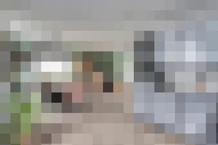 Noordeindseweg 336 Berkel en Rodenrijs thumbnail 11