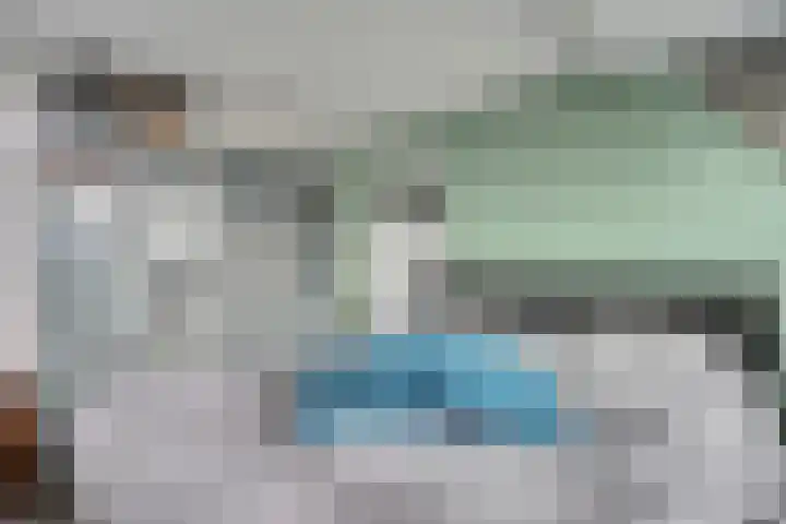 Noordeindseweg 336 Berkel en Rodenrijs thumbnail 16