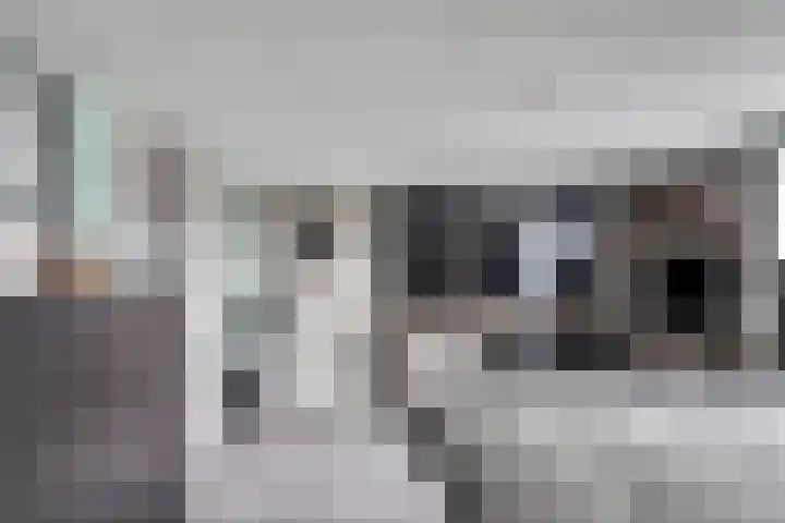 Noordeindseweg 336 Berkel en Rodenrijs thumbnail 21