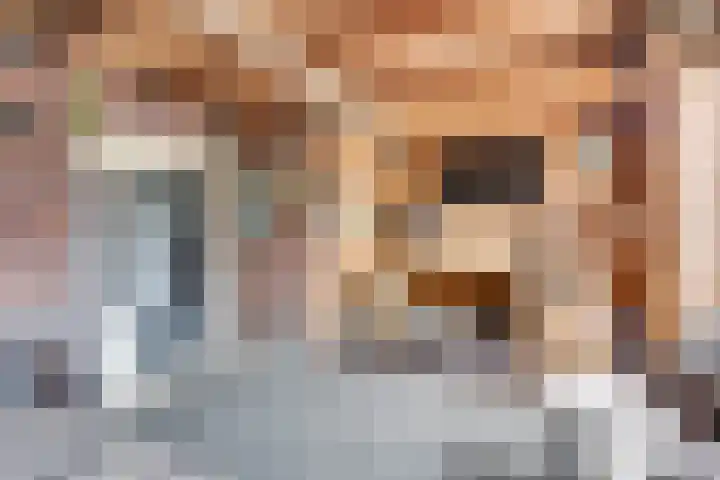 Noordeindseweg 336 Berkel en Rodenrijs thumbnail 24