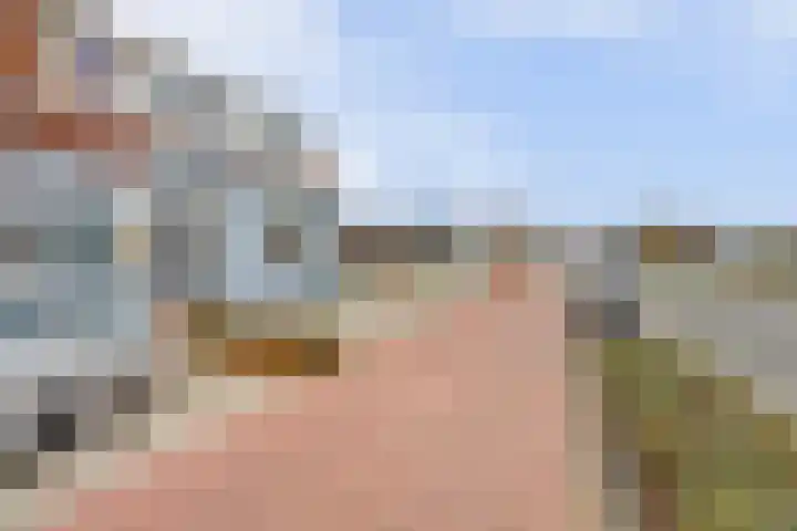 Noordeindseweg 336 Berkel en Rodenrijs thumbnail 38