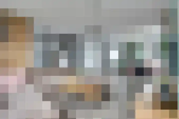 Noordeindseweg 336 Berkel en Rodenrijs thumbnail 7