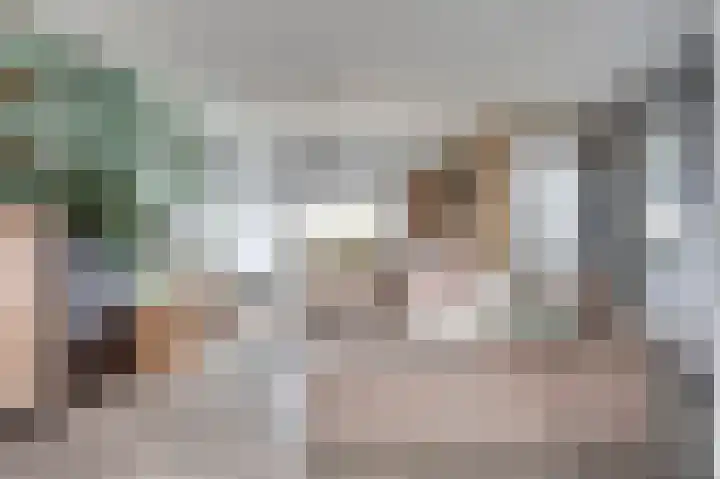 Noordeindseweg 336 Berkel en Rodenrijs thumbnail 8