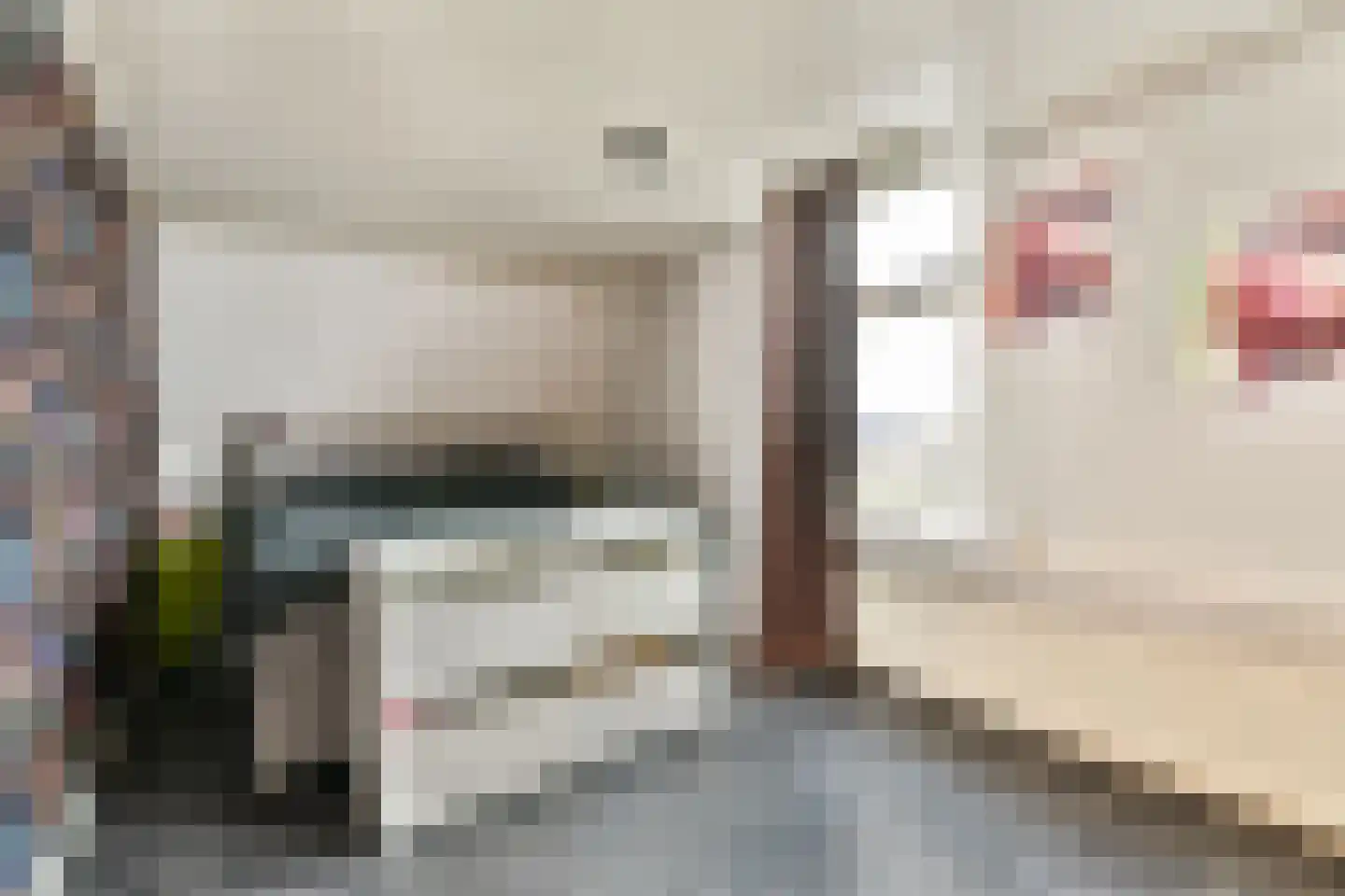Noordeindseweg 338 Berkel en Rodenrijs thumbnail 13