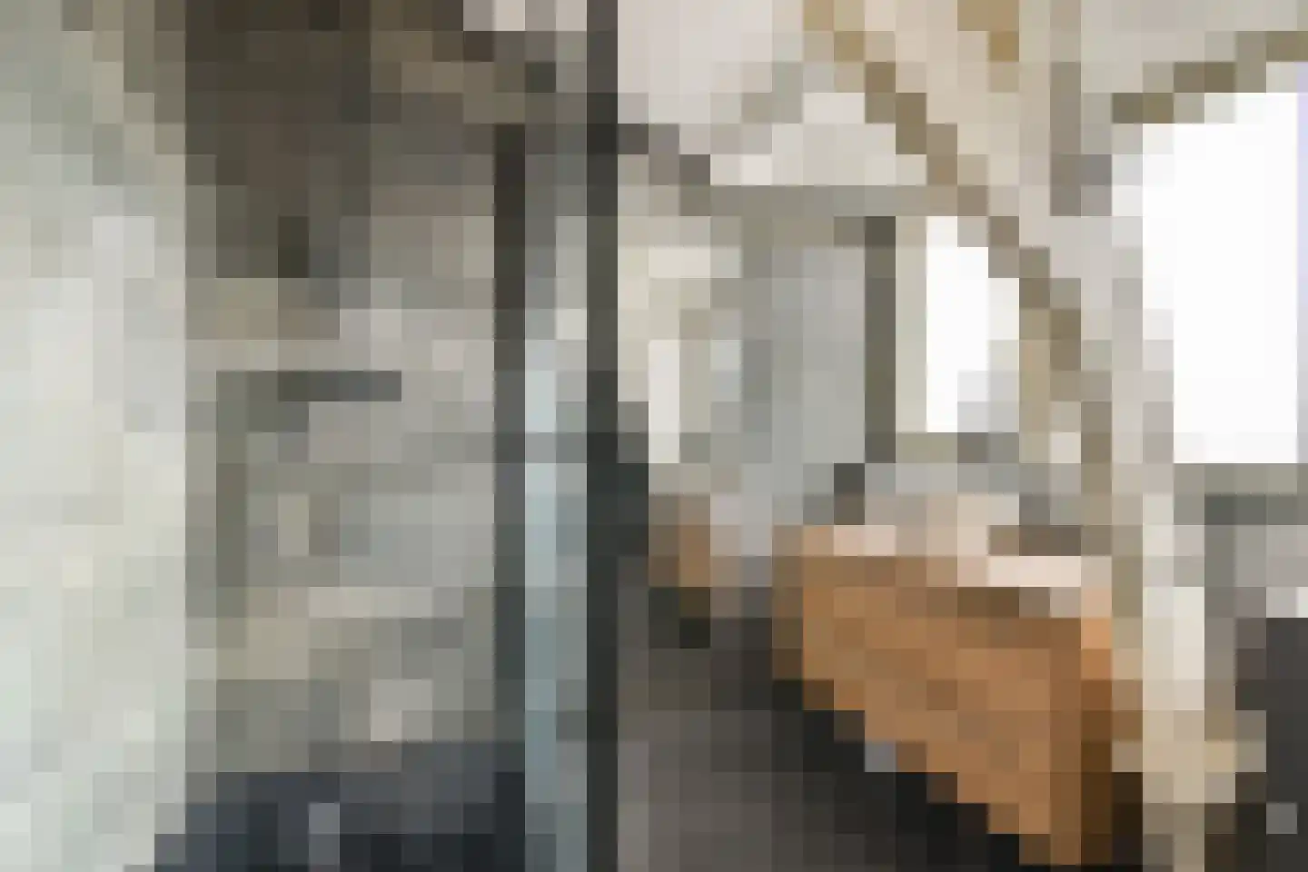 Noordeindseweg 338 Berkel en Rodenrijs thumbnail 16