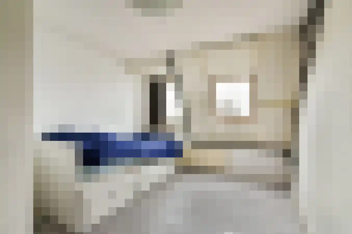 Noordeindseweg 338 Berkel en Rodenrijs thumbnail 19