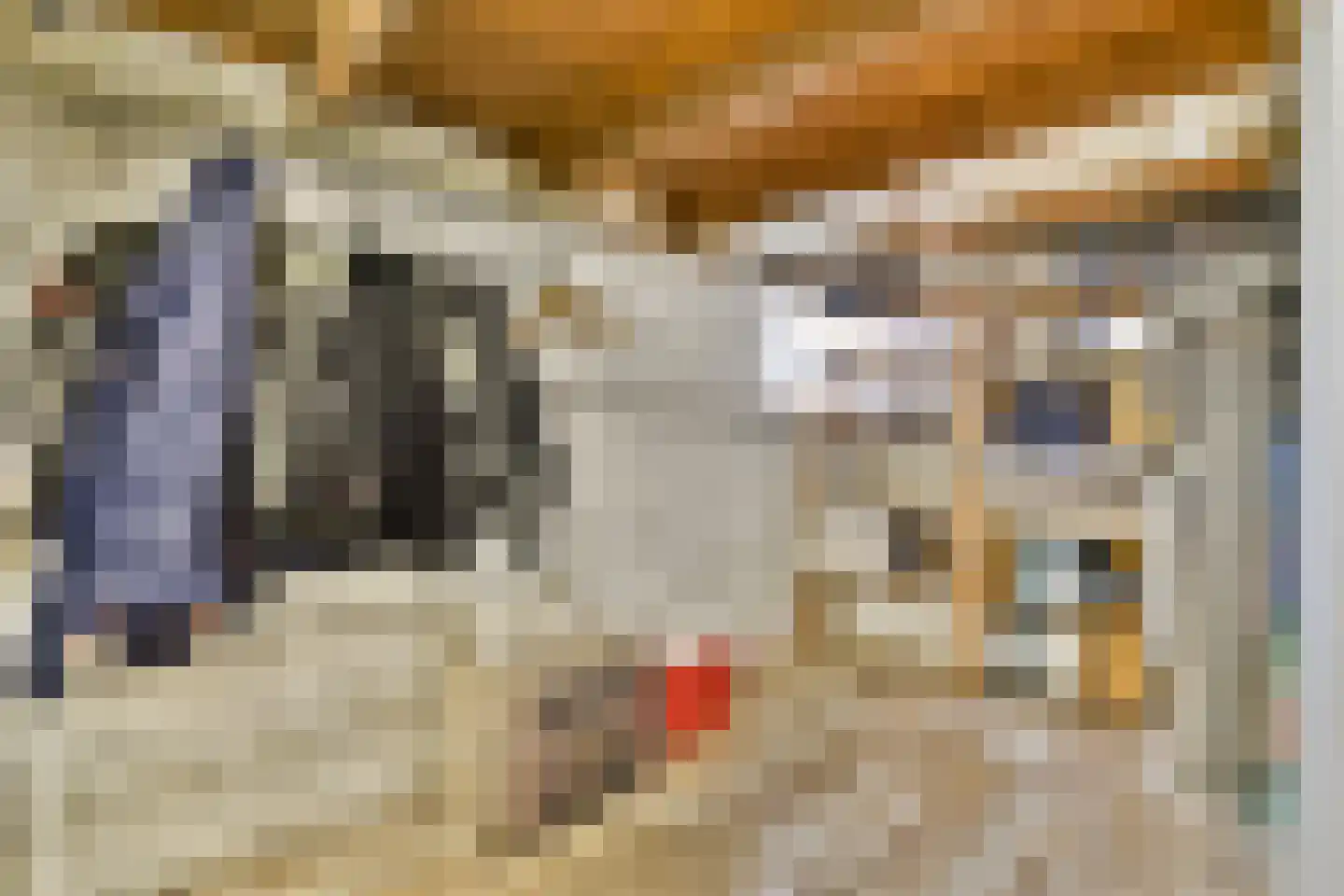 Noordeindseweg 338 Berkel en Rodenrijs thumbnail 23