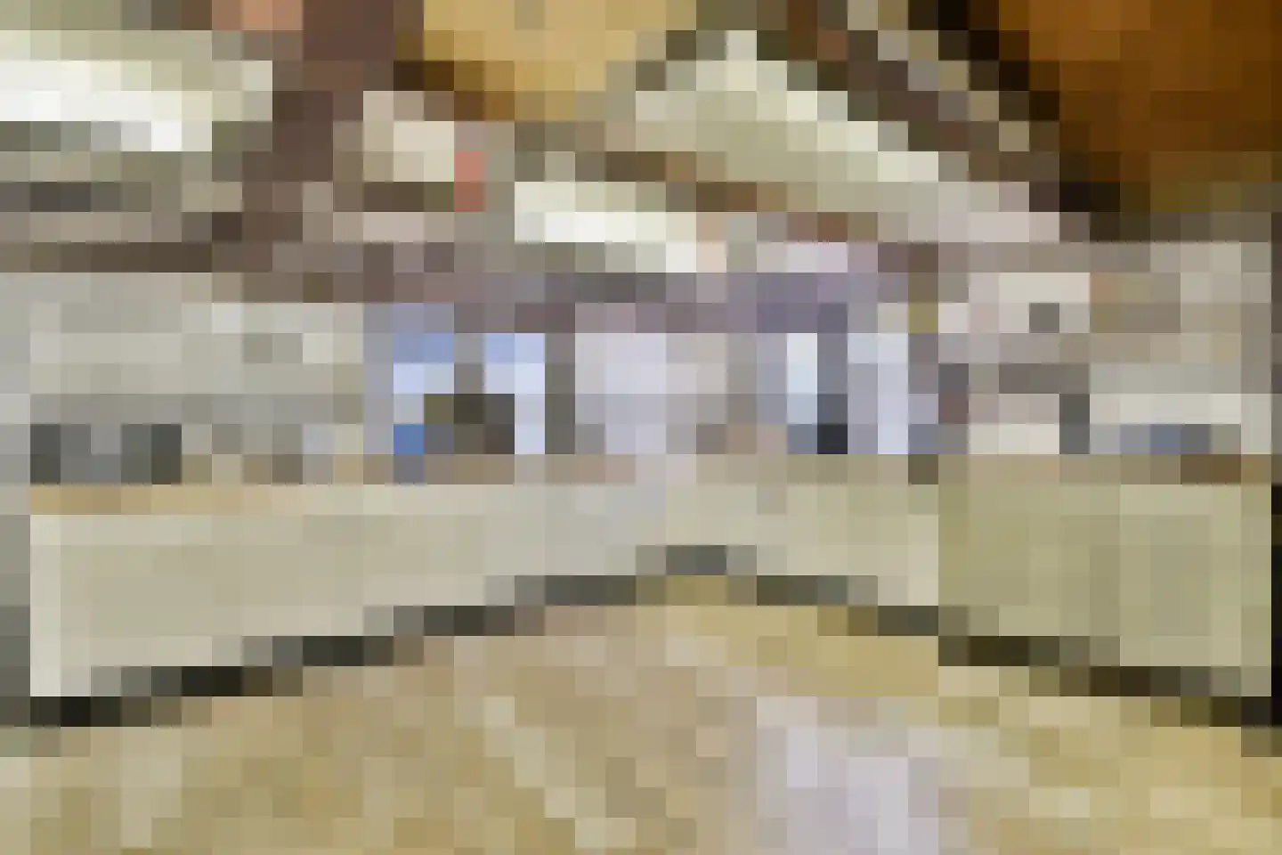 Noordeindseweg 338 Berkel en Rodenrijs thumbnail 25