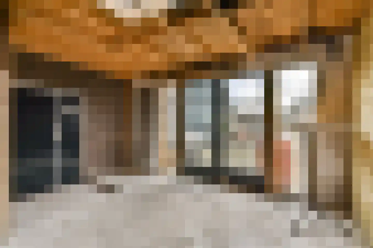 Noordeindseweg 338 Berkel en Rodenrijs thumbnail 26