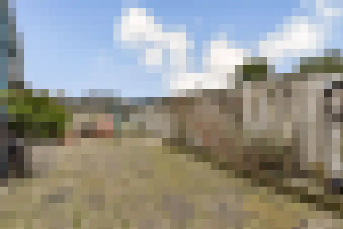 Noordeindseweg 338 Berkel en Rodenrijs thumbnail 27