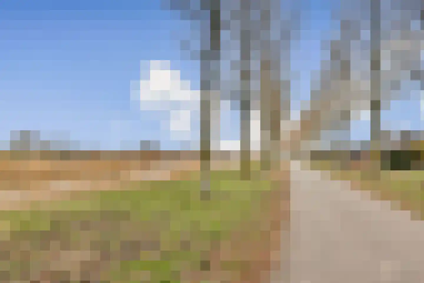 Noordeindseweg 338 Berkel en Rodenrijs thumbnail 32