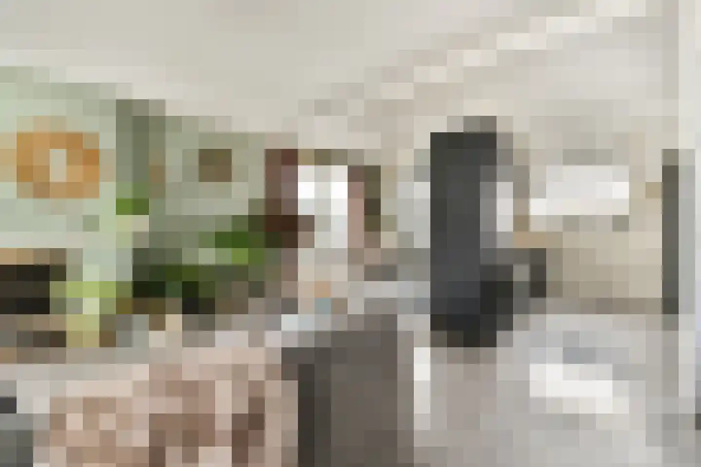 Noordeindseweg 338 Berkel en Rodenrijs thumbnail 5