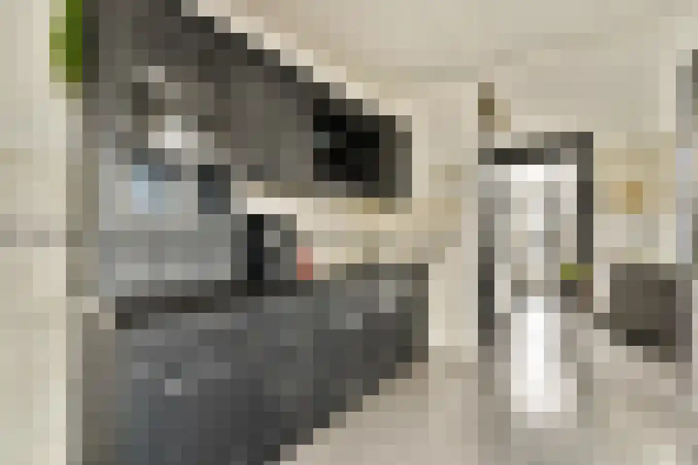 Noordeindseweg 338 Berkel en Rodenrijs thumbnail 6