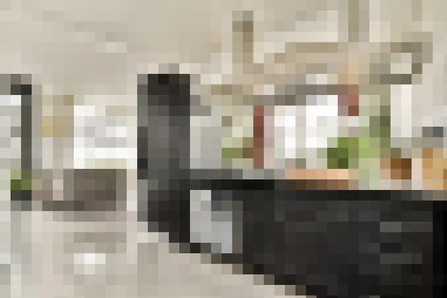 Noordeindseweg 338 Berkel en Rodenrijs thumbnail 7