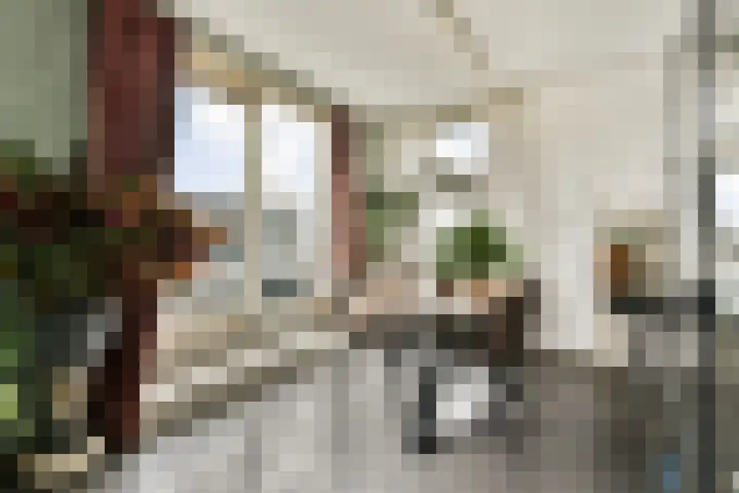 Noordeindseweg 338 Berkel en Rodenrijs thumbnail 8
