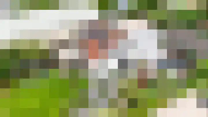 Noordeindseweg 390 Berkel en Rodenrijs thumbnail 4