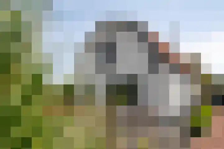 Noordeindseweg 390 Berkel en Rodenrijs thumbnail 44