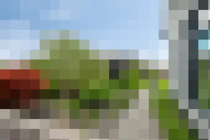 Noordeindseweg 390 Berkel en Rodenrijs thumbnail 7