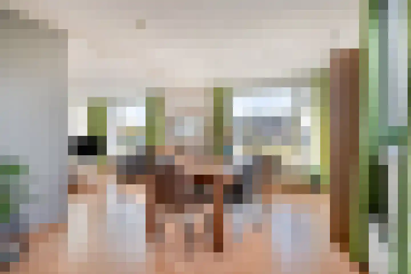Noordeindseweg 448 Berkel en Rodenrijs thumbnail 12