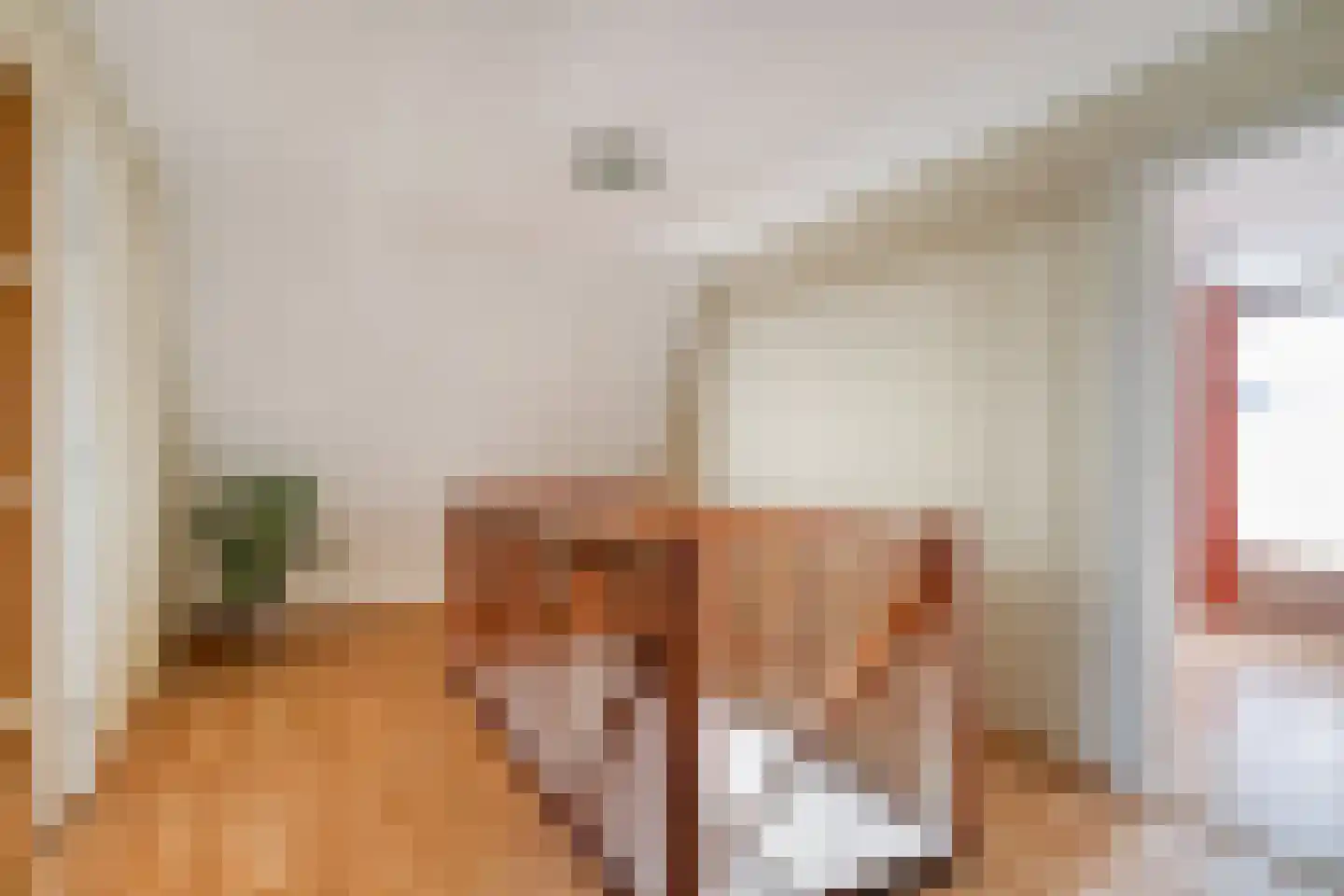 Noordeindseweg 448 Berkel en Rodenrijs thumbnail 22