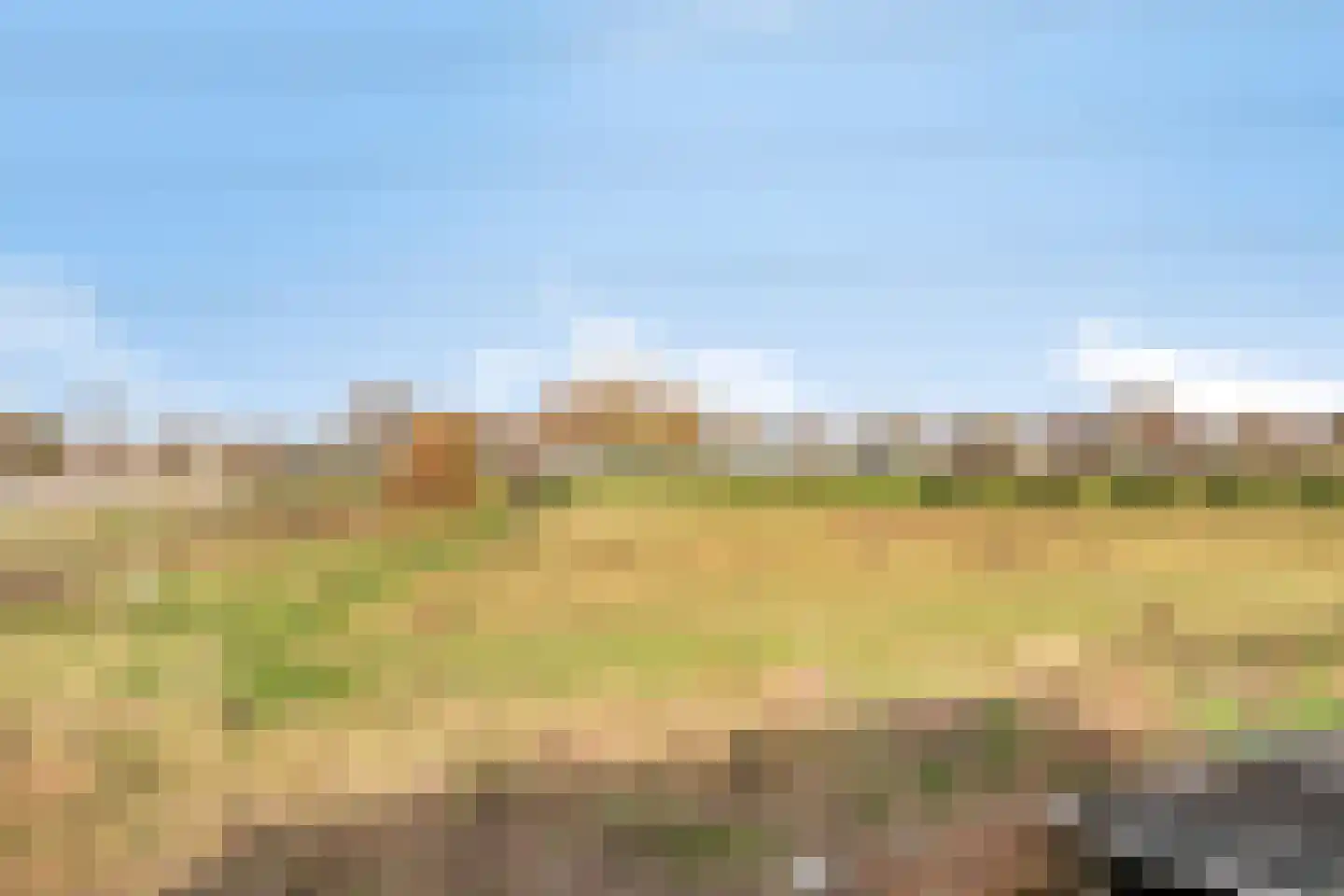 Noordeindseweg 448 Berkel en Rodenrijs thumbnail 27