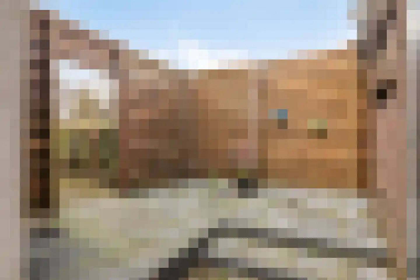 Noordeindseweg 448 Berkel en Rodenrijs thumbnail 31