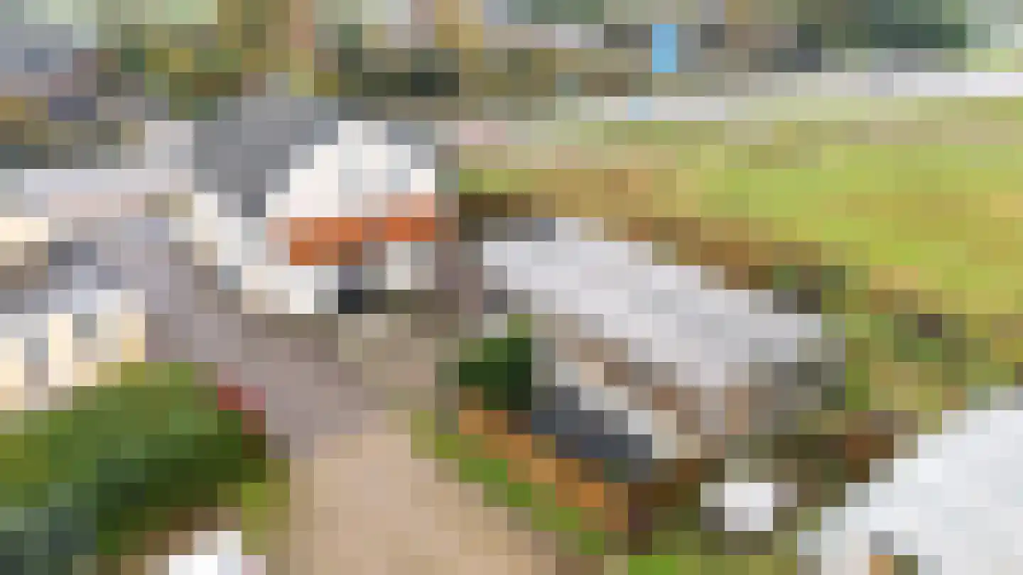 Noordeindseweg 448 Berkel en Rodenrijs thumbnail 34