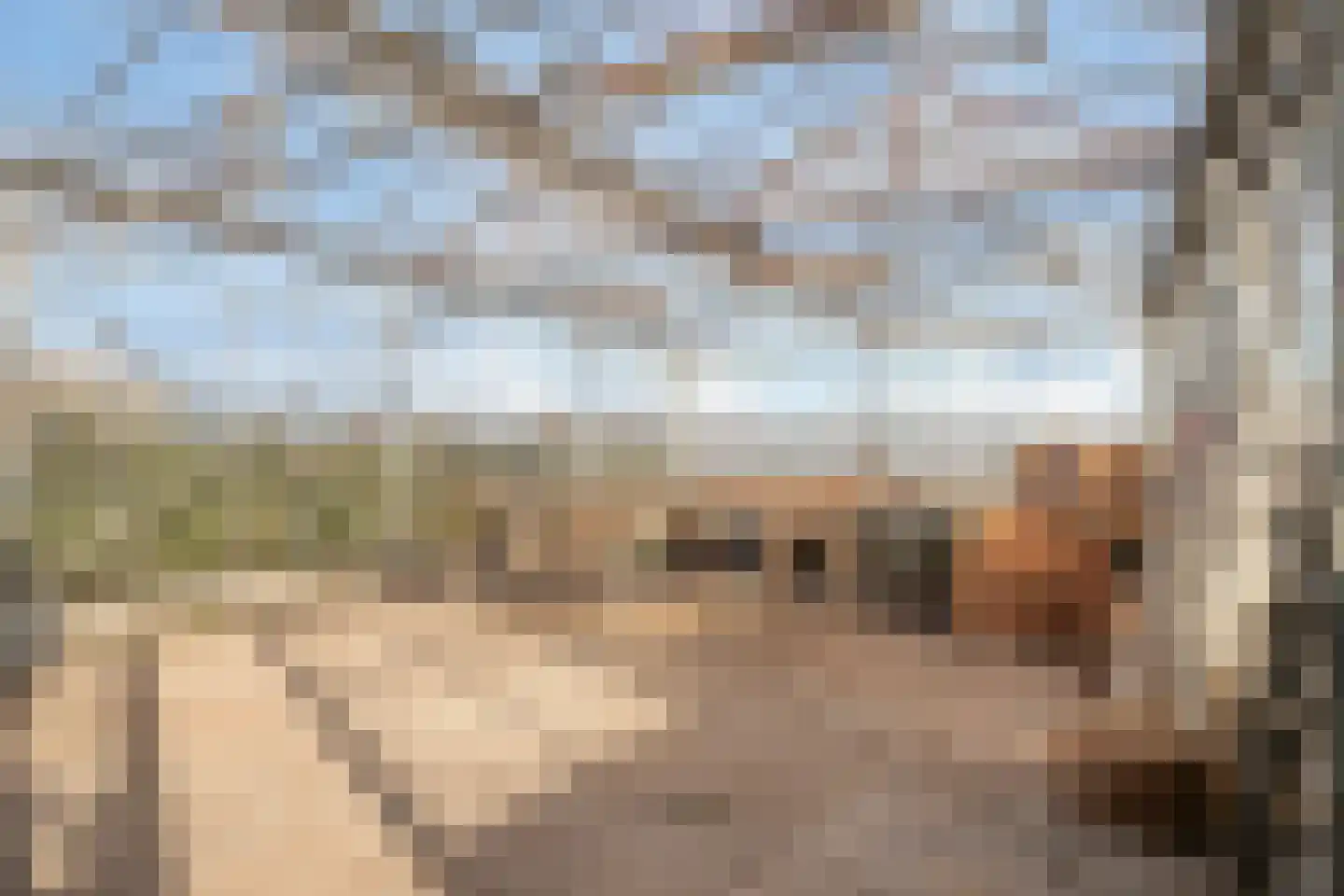 Noordeindseweg 448 Berkel en Rodenrijs thumbnail 35